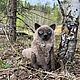 Котик с колбаской. Мягкие игрушки. ЗИМА. Ярмарка Мастеров.  Фото №7