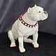 Смоки Фарфоровая собака. Шарнирный American bully Американский хулиган. Шарнирная кукла. FROZENWORLD.ART by Людмила Григоровская (bjdanimals). Ярмарка Мастеров.  Фото №5