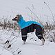 Зимний комбинезон для борзой. Уиппет. Одежда для питомцев. Зооателье 'Веселый хвост'. Ярмарка Мастеров.  Фото №5