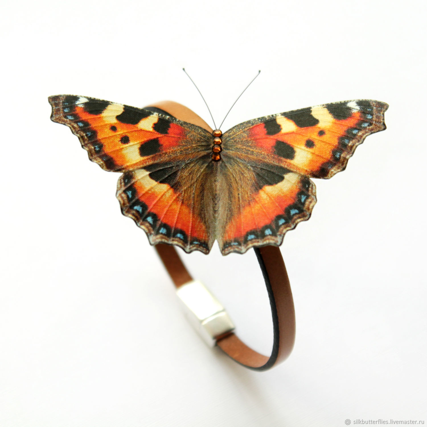 Крылья бабочки шоколадницы