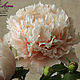 Peach peony from cold porcelain
