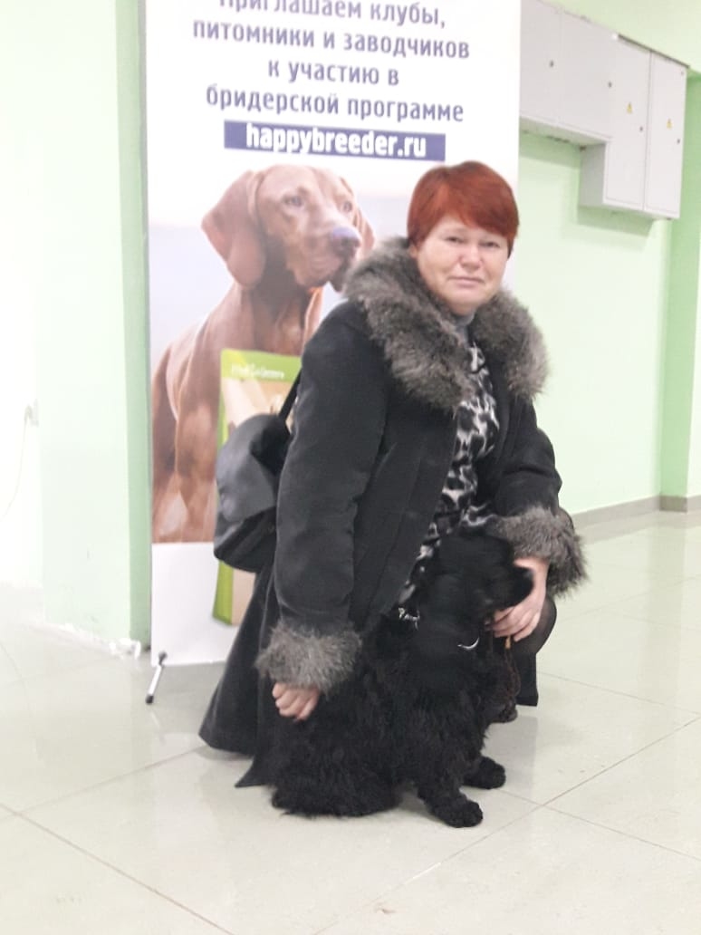 Мой профиль
