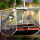 The bird feeder `Ark - atrium`
