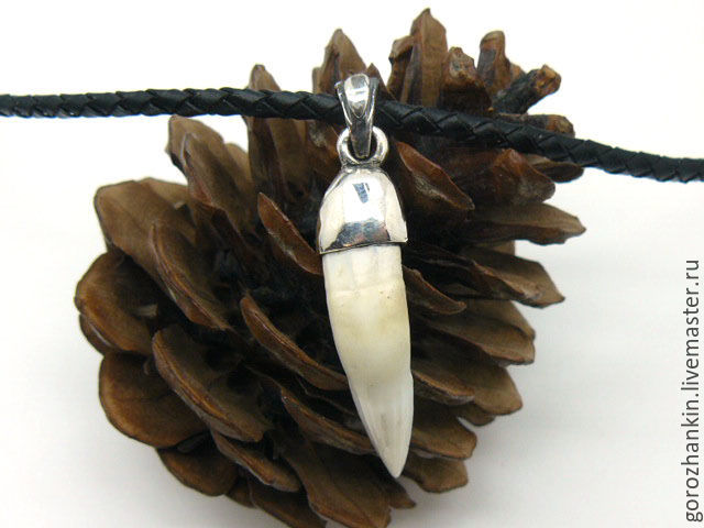 Pendant amulet talisman Fang the tooth of a crocodile on a simple suspension of silver 925. Handmade. Buy get the guy, man, girl, child woman, on February 23, the New year,March ,8
