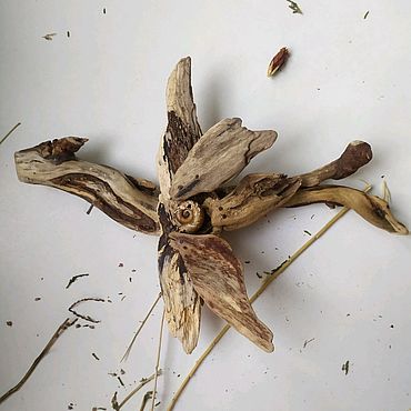 Дрифтвуд Дракон ( год дракона , дракончик , китайский новый год ). . Для дома и интерьера ручной работы - Ярмарка Мастеров Для дома и интерьера ручной работы. Ярмарка Мастеров - ручная работа Дрифтвуд Дракон ( год дракона , дракончик , китайский новый год ). Handmade.