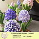 Silicone soap mold ' Hyacinth'. Form. myfavoriteforms (myfavoriteforms). My Livemaster. Фото №4