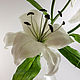 Лилия из полимерной глины. Растения. Мария Голубцова (Top-Flower). Ярмарка Мастеров.  Фото №4