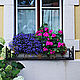Цветочница для балкона, Вазы, Раменское,  Фото №1