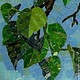 Заказать Птица. Татьяна (mosaicdecor). Ярмарка Мастеров. . Картины Фото №3