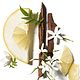 Заказать Parfumerie ручная работа реплика духов. (Chanel “Chance eau Fraiche»). Творческая мастерская 'Сила в свече'. Ярмарка Мастеров. . Духи Фото №3