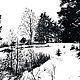  Среди зимы 11 / In the Middle of Winter 11, Картины, Новосибирск,  Фото №1