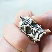 Украшения handmade. Livemaster - original item Male Vampire Skull Ring 2 in 925 Silver (VIDEO) HB0016. Handmade.