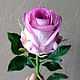 Розовая роза из полимерной глины полимерная флористика скульптура, Цветы, Тольятти,  Фото №1