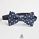 Tie butterfly Charm / dark blue bow tie in polka dot, Ties, Moscow,  Фото №1