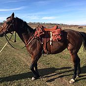 Зоотовары handmade. Livemaster - original item Cavalry (dragoon) saddle with a pack (bags). Handmade.