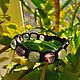 Order Shambhala bracelet with Fluorite green and purple Prosperity and Success. Magic Jewelry from Svetlana. Livemaster. . Amulet Фото №3