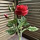 Роза из полимерной глины, Букеты, Волгоград,  Фото №1