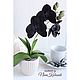 Orchid black blooming phalaenopsis in pots decorative not alive. Flowers. Именные сувениры и деревянная упаковка. Online shopping on My Livemaster.  Фото №2