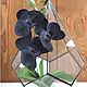 Orchid black blooming phalaenopsis in pots decorative not alive, Flowers, Moscow,  Фото №1