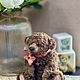 Мишка Тедди: Джордж. Мишки Тедди. Ирина (Family bear). Ярмарка Мастеров.  Фото №6