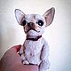 Чихуахуа, тедди. Мишки Тедди. Елена Логинова (elena_loginova_toys). Интернет-магазин Ярмарка Мастеров.  Фото №2