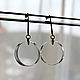 Earrings made of transparent Lucite and steel, Earrings, Dresden,  Фото №1