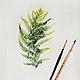Fern, Botanical watercolour. Pictures. Belasla. Online shopping on My Livemaster.  Фото №2