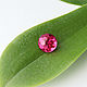Розовый выращенный сапфир, 4.3 ct, Оберег, Москва,  Фото №1