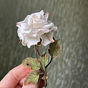 Староанглийская роза "Жози"