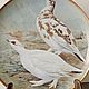 Винтаж: Декоративная тарелка Franklin Porcelain 1979г. Охотничьи птицы мира. Тарелки винтажные. Антикварная лавка для друзей. Ярмарка Мастеров.  Фото №4