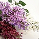 Заказать Сирень из полимерной глины. Юлия Требунцова (flowershouse). Ярмарка Мастеров. . Букеты Фото №3