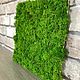 Panel made of stabilized moss 30*30 grade ' Extra '(pruning). Design. Антонина Литовкина - Озеленение (Планета Флористики). My Livemaster. Фото №4