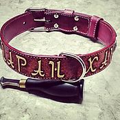 Зоотовары handmade. Livemaster - original item Collar for dog genuine leather. Handmade.
