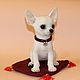 Order Chihuahua'Daphne'. Anna Petinati- Live toys handmade. Livemaster. . Stuffed Toys Фото №3