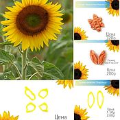 Материалы для творчества handmade. Livemaster - original item Sunflower petals and sepals set of silicone viners and cutters. Handmade.