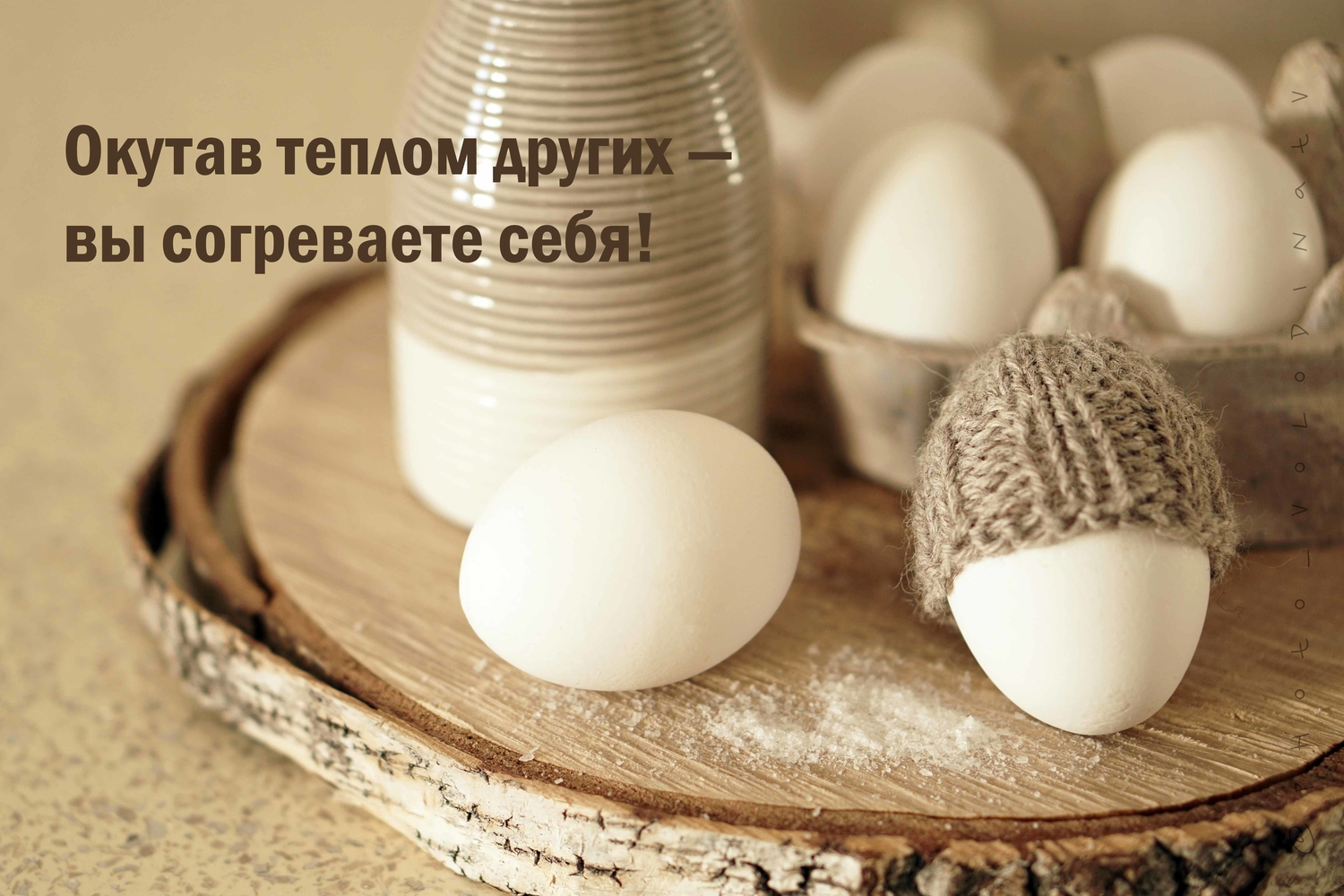Мой профиль