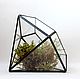 The Floriana for plants Diamond. Geometric vase for Floriana. Pots1. Glass Flowers. My Livemaster. Фото №4