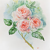 Розы. Картина акварелью, цветы в вазе