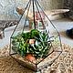Флорариум капля. Флорариумы. JoyForFlowers. Ярмарка Мастеров.  Фото №4