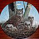 Three collectible plates with owls, Edwin Knowles, USA. Vintage interior. Mir Stariny. Online shopping on My Livemaster.  Фото №2