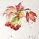 Viburnum twig, watercolor, Pictures, Moscow,  Фото №1