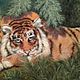 Картина из шерсти `Амурский тигр`.  Ручная  авторская работа. Размер 50 х 70 см.