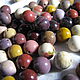 Jasper, mucahit 8 mm ball, smooth, Beads1, Dolgoprudny,  Фото №1