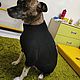 Свитер для собаки. Одежда для питомцев. Модный look для домашних питомцев. Ярмарка Мастеров.  Фото №6