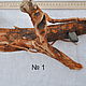 Дрифтвуд. Driftwood . Морское дерево, Природные материалы, Апшеронск,  Фото №1