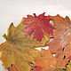 Autumn Maple Fruit Bowl, Bowls, Moscow,  Фото №1