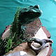Sushch-assistant Money toad. Helper spirit. siladrevnih (SilaDrevnih). Online shopping on My Livemaster.  Фото №2