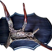 Для дома и интерьера handmade. Livemaster - original item Elk horn on stand, threaded, handmade.. Handmade.