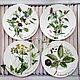 Painted porcelain Plates on the wall herb garden. Plates. ArtFlera (artflera). Online shopping on My Livemaster.  Фото №2
