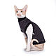 Заказать Kotomoda  одежда для сфинксов БОСС. Kotomoda Cat Wear. Ярмарка Мастеров. . Аксессуары для питомцев Фото №3